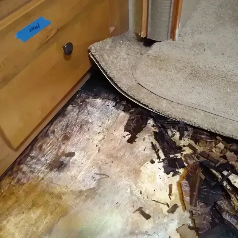 Wood Floor Water Damage in Butler County, MO